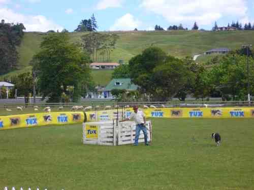 P1230545