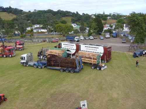 THE MASSIVE ANCIENT KAURI LOG FROM THE AIR