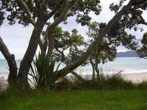 COOPERS BEACH