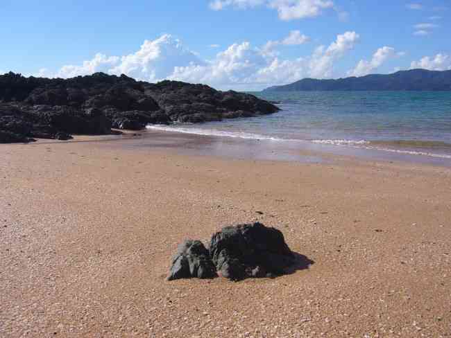 EAST COAST FAR NORTH NEW ZEALAND