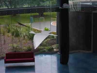 Godwits in the TE AHU CENTRE ATRIUM (Kaitaia)