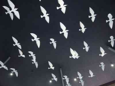 Godwits in the TE AHU CENTRE Atrium (Kaitaia)