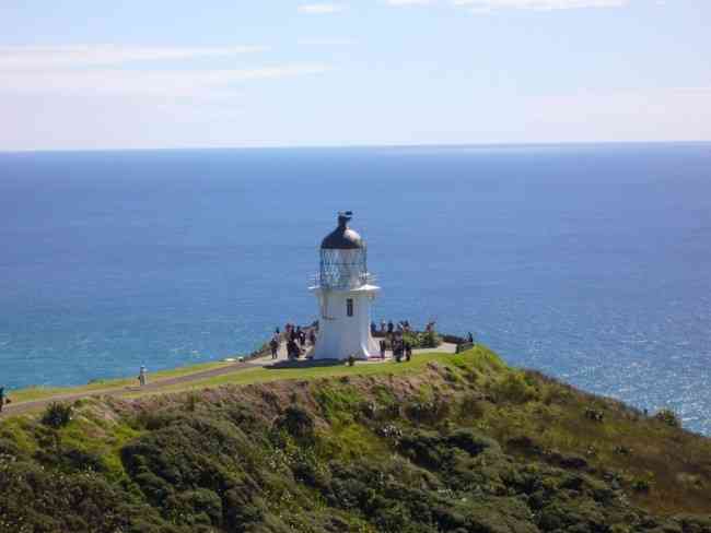 YOU FIND THE THREE KINGS ISLANDS ABOUT 55 KM NORTHWEST OF CAPE REINGA