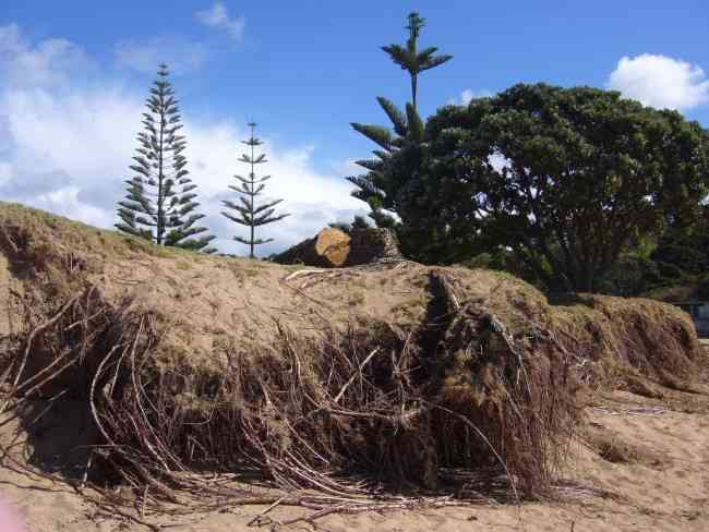 Cable Bay after Cyclon LUSI