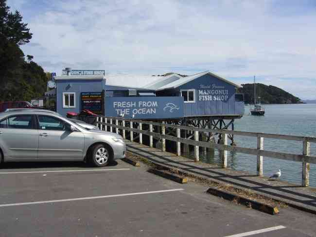 MANGONUI