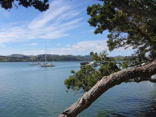 MANGONUI