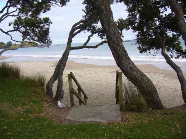 Coopers Beach