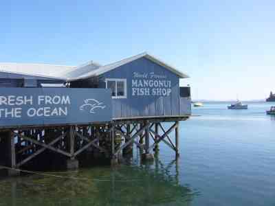 mANGONUI