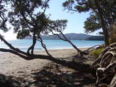 MANGONUI