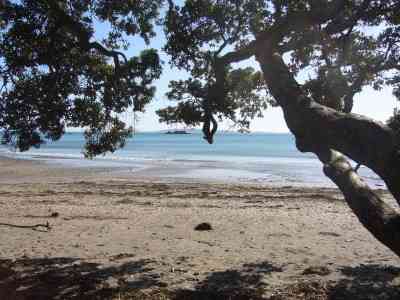MANGONUI