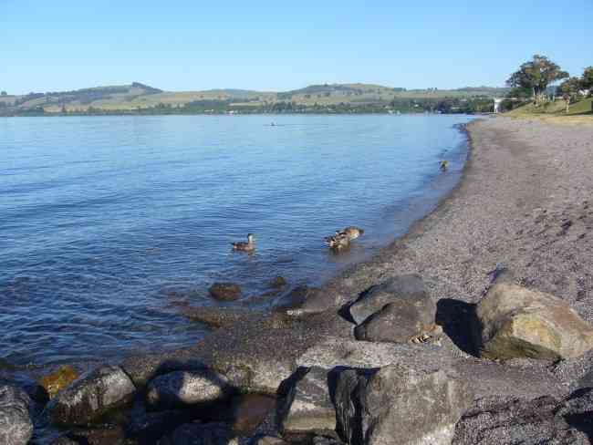 Walk along Lake Taupo