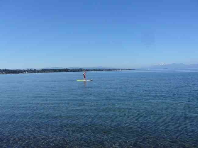Walk along Lake Taupo