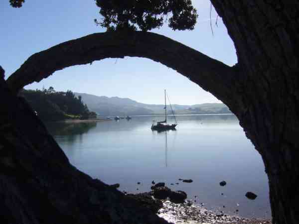 Mangonui