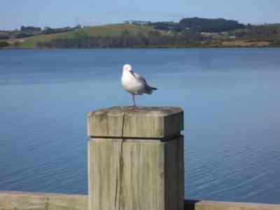 How long can you do it?