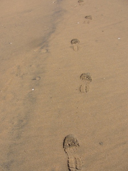 Footsteps tp follow