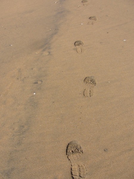 Footsteps tp follow