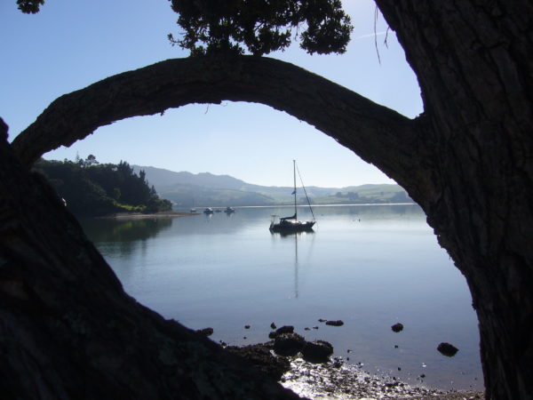 SECOND PRIZE: Mangonui Harbour