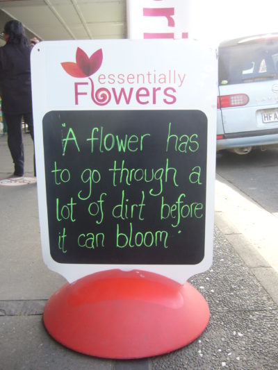 "A Flower ..."