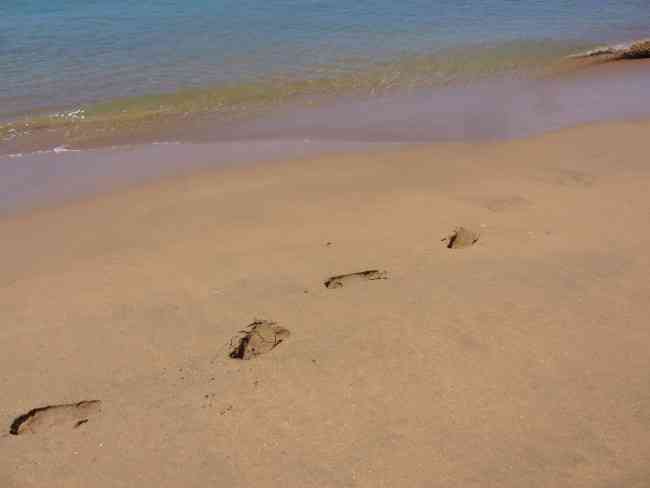 "We don't want our leadership to be as footprints in the sand." - John Guest
