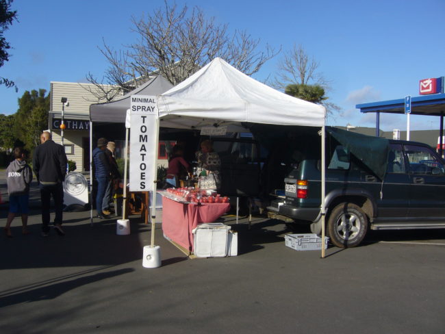 SUNDAY MORNING: some people are selling and buying tomatos
