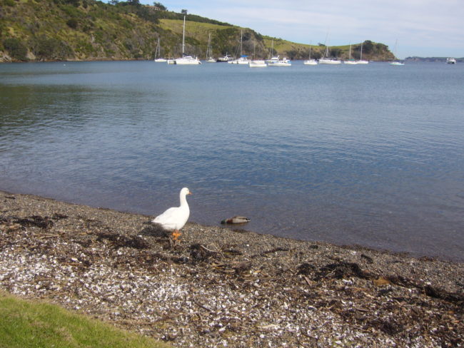 On my way to the shops