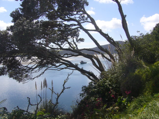 HOUHORA HARBOUR