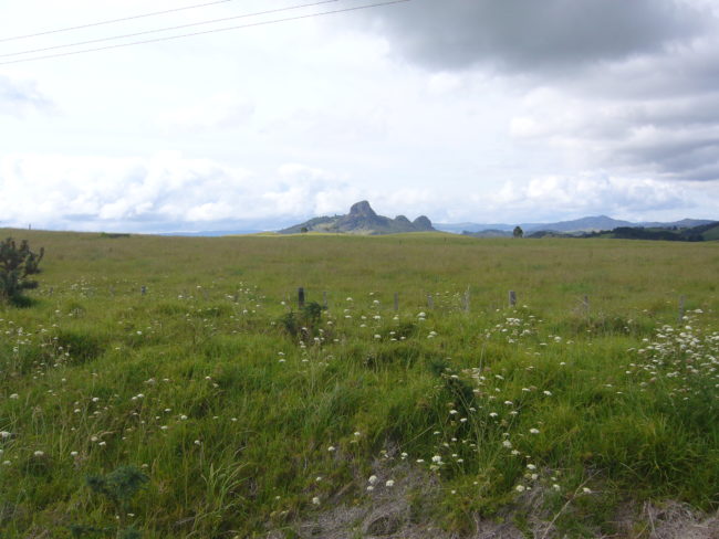 On the way from Mangonui to Kerikeri
