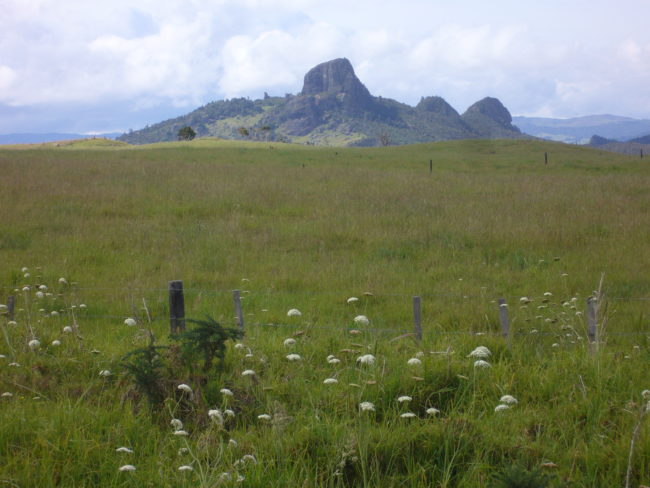 On the way from Mangonui to Kerikeri